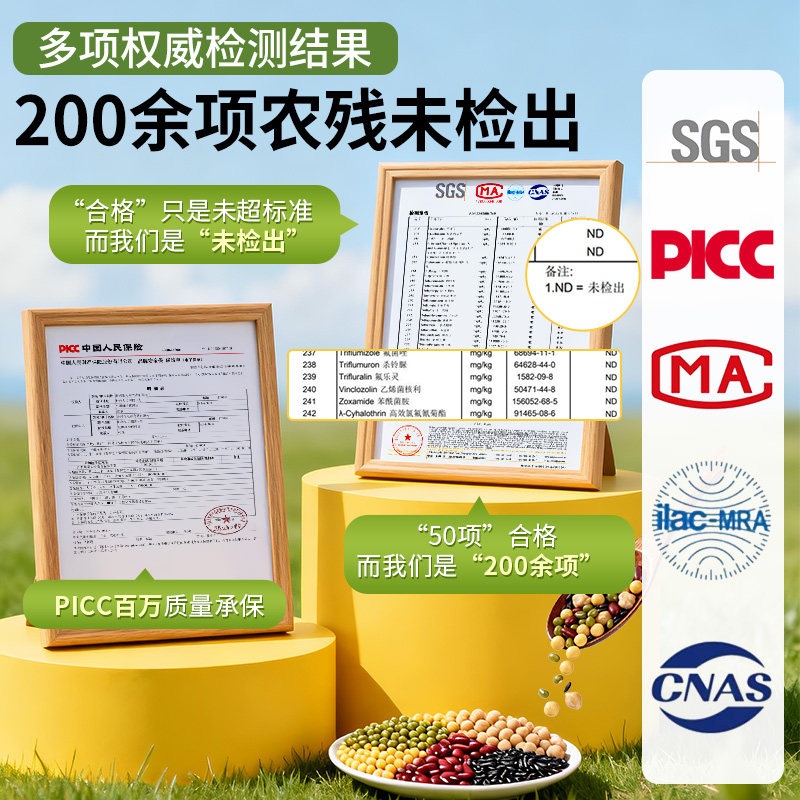 豆类大全豆子五谷杂豆绿豆黄豆打豆浆芸豆扁豆鹰嘴豆干货杂粮组合,淘宝优惠券,粉丝福利购,淘宝优惠卷