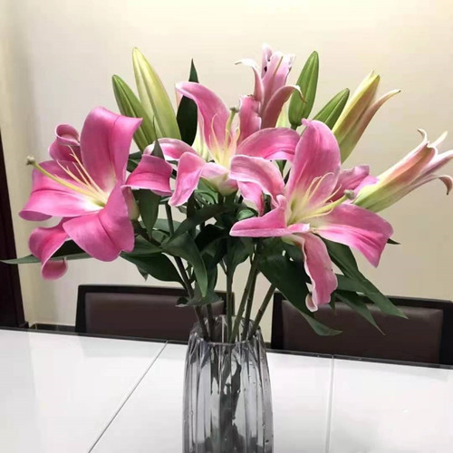 百合A罗宾娜鲜花云南基地直发昆明斗南直批顺丰水养花苞红色婚庆 - 图3