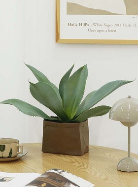 仿真琴叶榕植物高仿龙舌兰盆栽