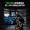 Merrick spinning bike Obsidian Rider Turbo