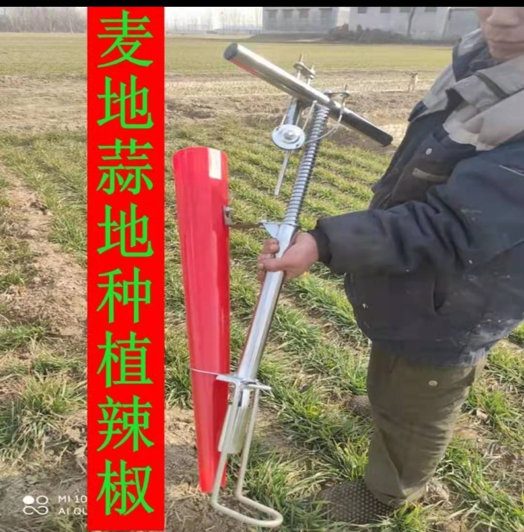 栽苗器辣椒移栽神器插秧机定植器套种栽秧器农用快手大桥农具庆桥 - 图2