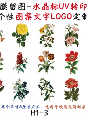 撕膜留图仿古花卉水晶标转印贴