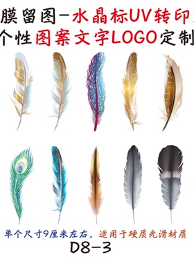 撕膜留图飞禽羽毛水晶标转印贴