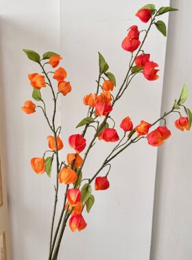 感灯笼果仿真花酸浆果家居客厅装饰餐桌摆件假花民宿拍摄道具