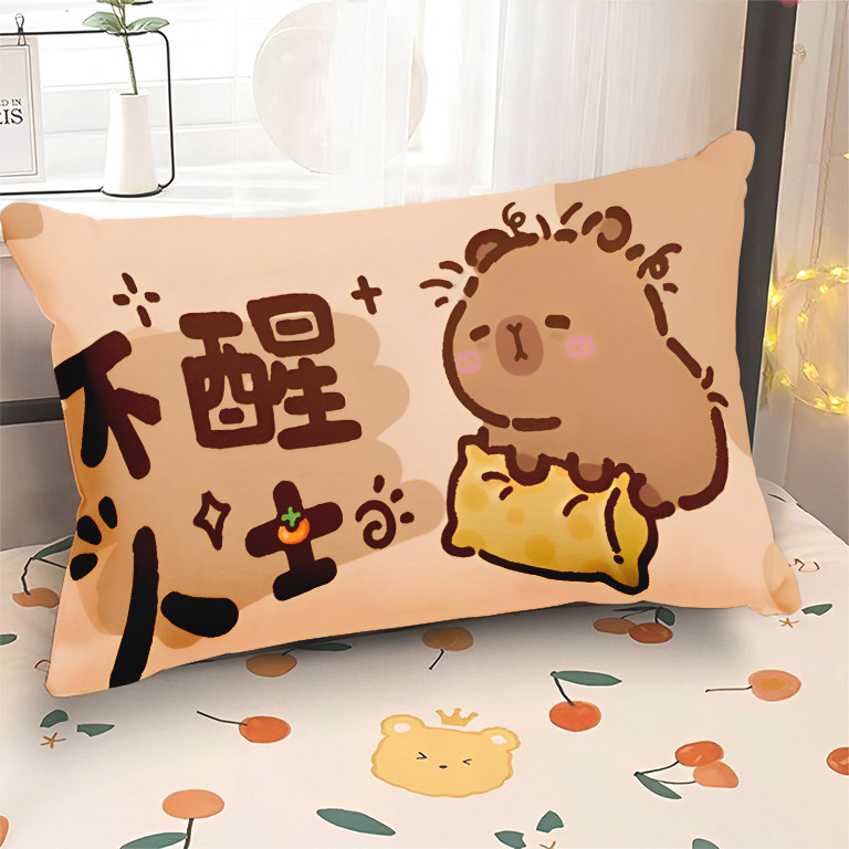 美元小狗卡皮巴拉枕套儿童可爱卡通爆款枕套学生宿舍高颜值抱枕