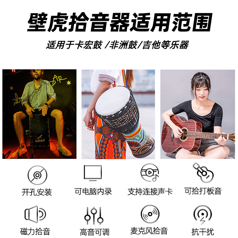  GECKO乐器拾音器