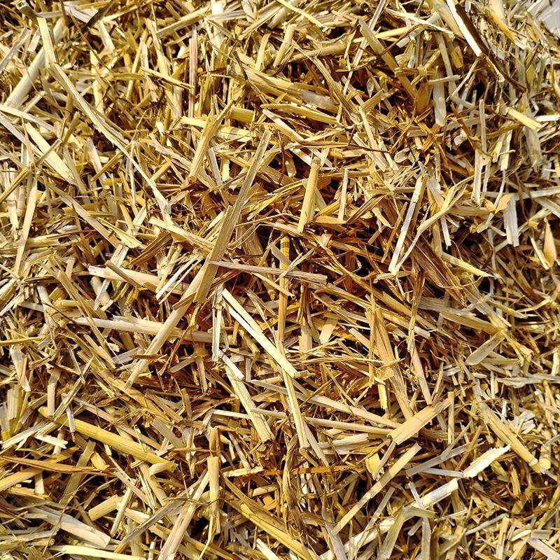 新小麦秸秆碎麦草鸟鸽子宠物垫窝保暖牛羊干草料兔子装修和泥装饰,淘宝优惠券,粉丝福利购,淘宝优惠卷