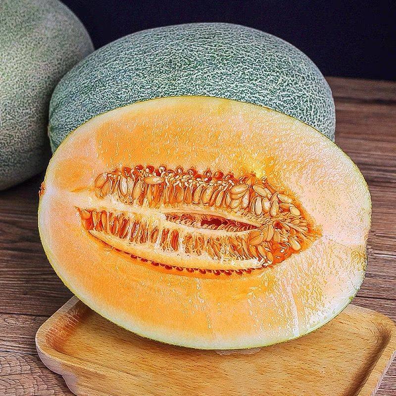 现摘新鲜山东哈密瓜水果当季网纹蜜瓜孕妇玫珑玲玉甜瓜冰淇淋超甜,淘宝优惠券,粉丝福利购,淘宝优惠卷