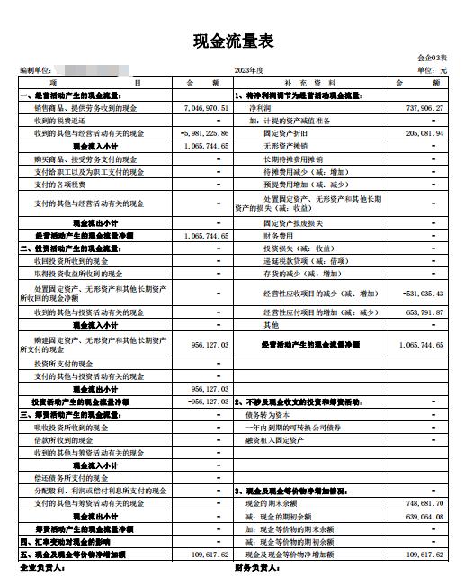 代做财务报表年报月报季报财报纳税申报表利润表资产负债表现金流 - 图1