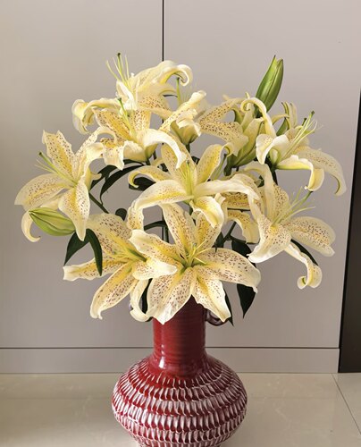 香水百合亚百合多品种精品外贸级云南鲜花基地直发家用送礼花束 - 图3