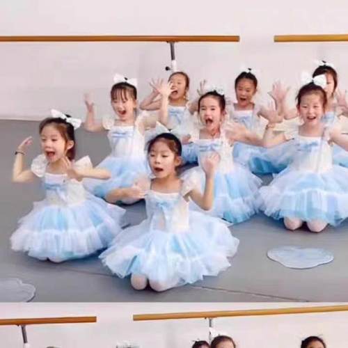幼儿园舞蹈表演服我有一个梦想儿童蓬蓬裙演出服女童芭蕾舞蹈纱裙 - 图2