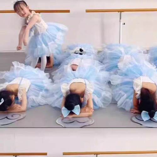 幼儿园舞蹈表演服我有一个梦想儿童蓬蓬裙演出服女童芭蕾舞蹈纱裙 - 图1