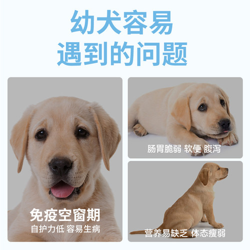 狗粮幼犬粮幼犬专用泰迪比熊柯基金毛拉布拉多小型犬离乳期10斤装 - 图2