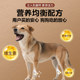 Adult dog universal Chinese small local dog puppy