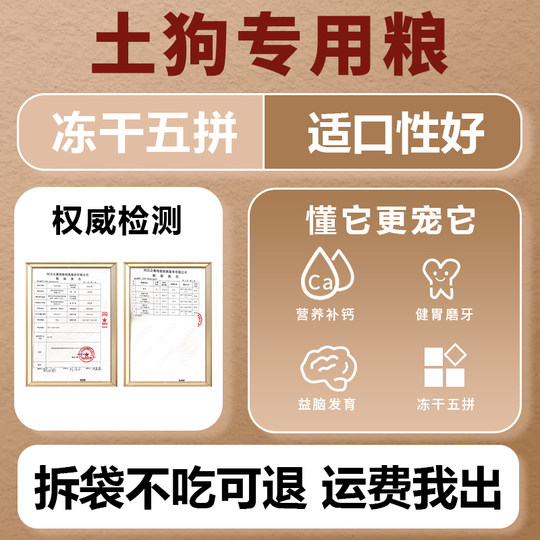 Adult dog universal Chinese small local dog puppy