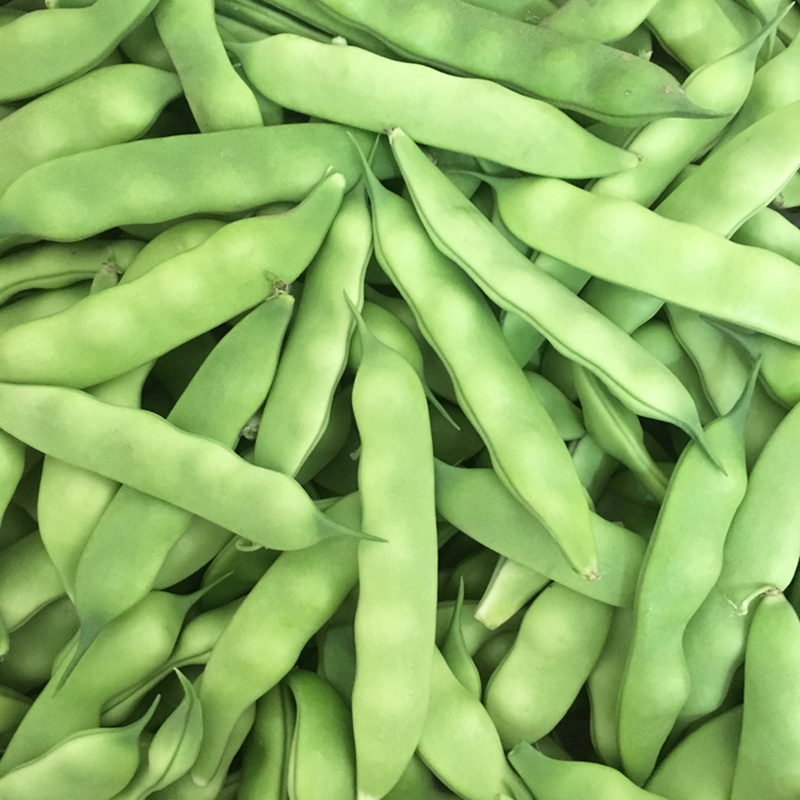 东北油豆角农家新鲜蔬菜特产九月青开锅烂宽面豆角食用现摘包邮5 - 图1