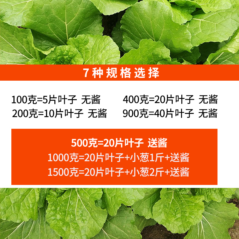 新鲜大白菜叶 东北农家蔬菜包饭包白菜叶子蘸酱菜现摘现发20个叶 - 图1