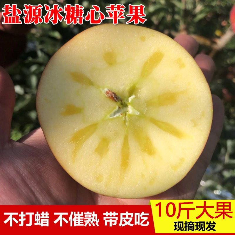 大凉山盐源冰糖心苹果丑苹果孕妇新鲜水果脆甜红富士现摘大果9斤