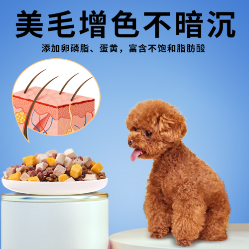 泰迪狗粮专用粮10斤装贵宾幼犬成犬美毛轻泪痕冻干品牌旗舰店20