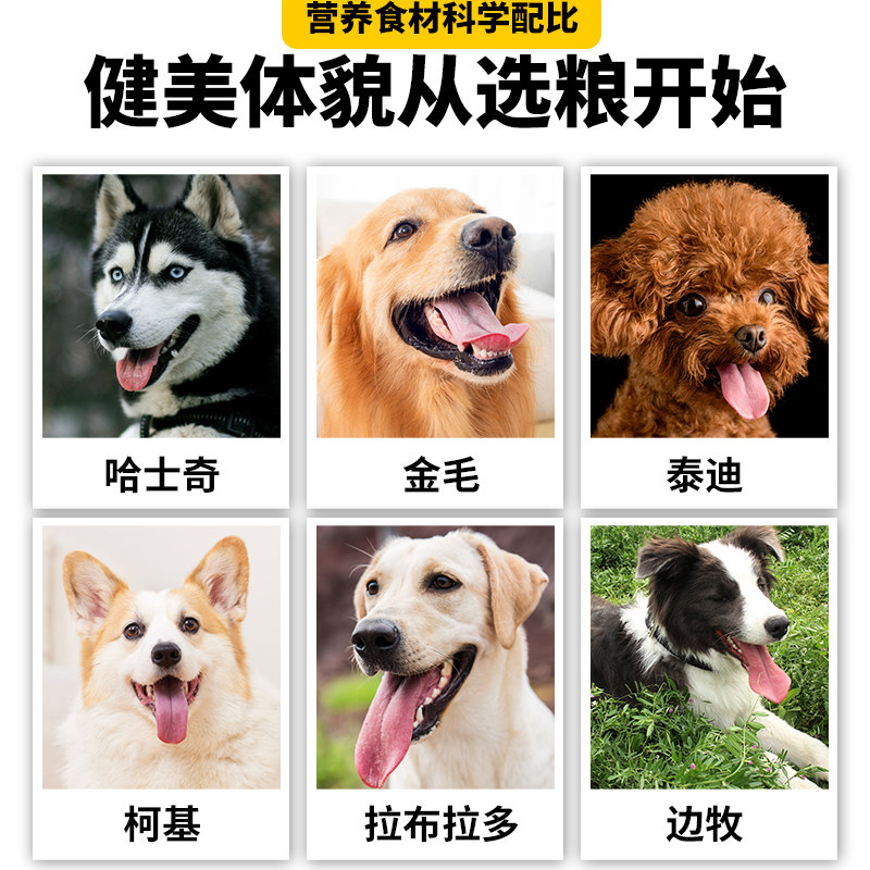  亿佳果犬主粮