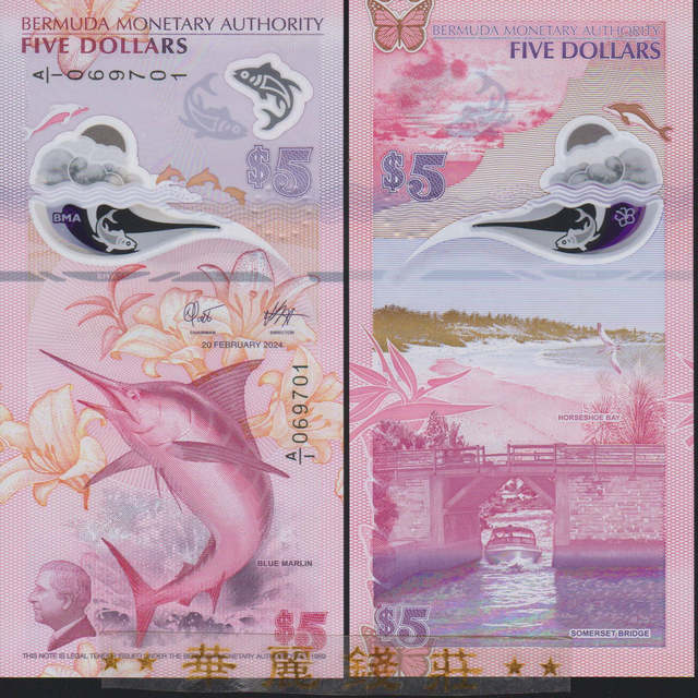 Choose your 2024 IBNS winning 5 yuan banknote number