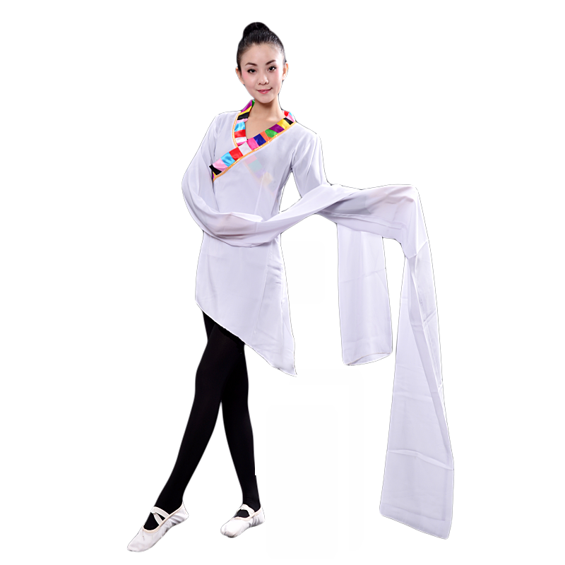 藏族锅庄舞蹈服装连体水袖练功服 芭缇蝶民族服装/舞台装