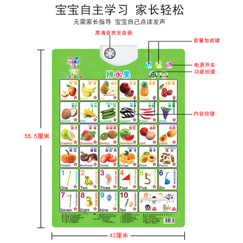 撕不烂塑料英文字母发声单词卡片五官自我认识颜色认知卡玩具挂图-图0