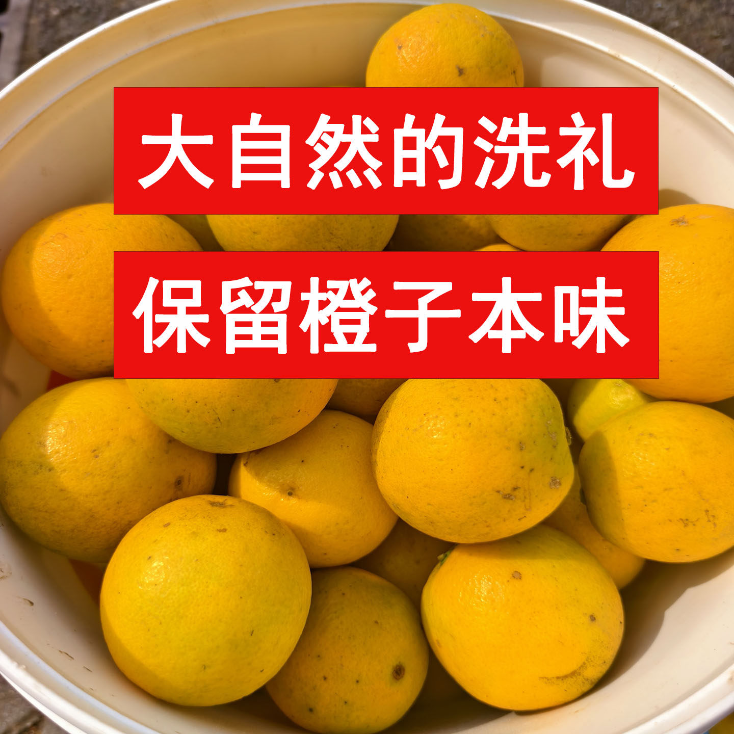 郴州正宗永兴冰糖橙自然大果冰糖柑湖南特产新鲜水果现摘现发包邮,淘宝优惠券,粉丝福利购,淘宝优惠卷