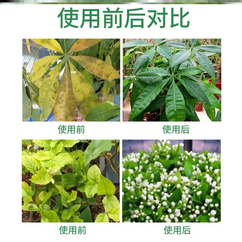 花卉绿植专用肥料盆栽绿植花卉通用有机生物肥温和营养不伤根花肥 - 图3