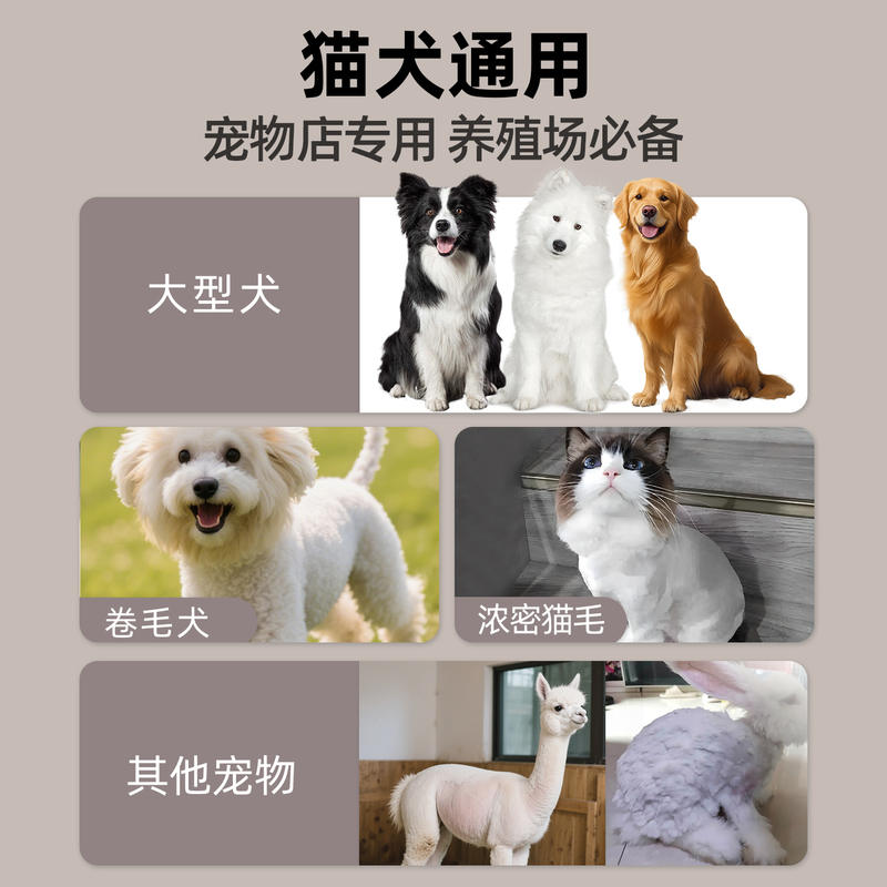 商品缩略图 1
