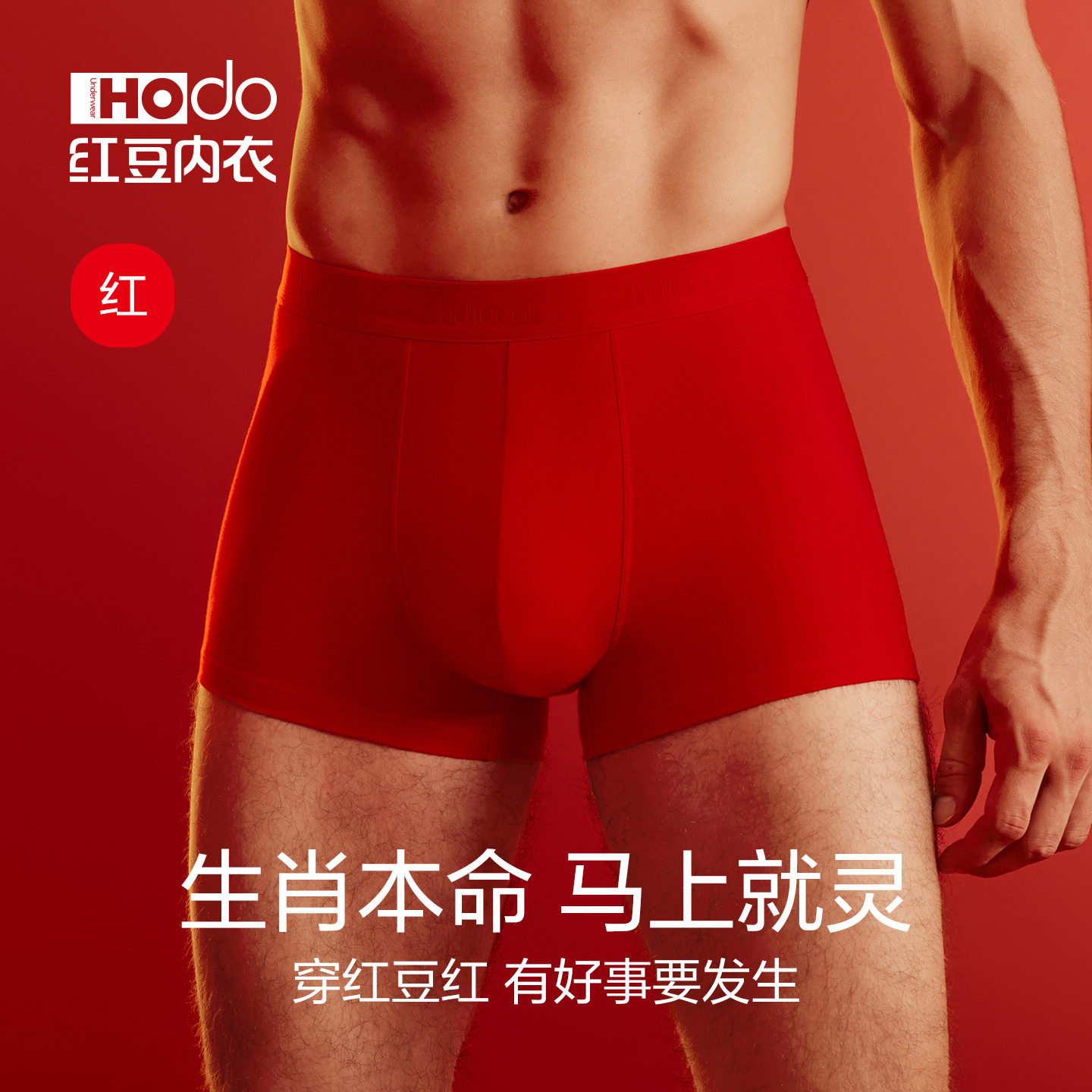 红豆男士内裤本命年大红色纯棉裆抗菌结婚喜庆四角短裤马年平角裤,淘宝优惠券,粉丝福利购,淘宝优惠卷