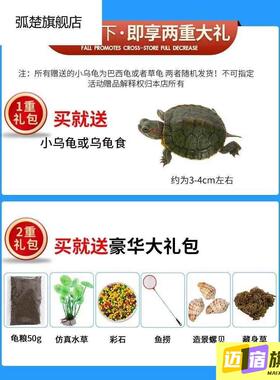 乌龟缸家用饲养箱带晒台爬台鱼缸养龟缸别墅造景盆小大型专用盆