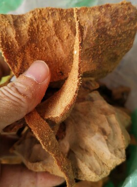 凉山陈化崖柏手串木雕熏香边角料