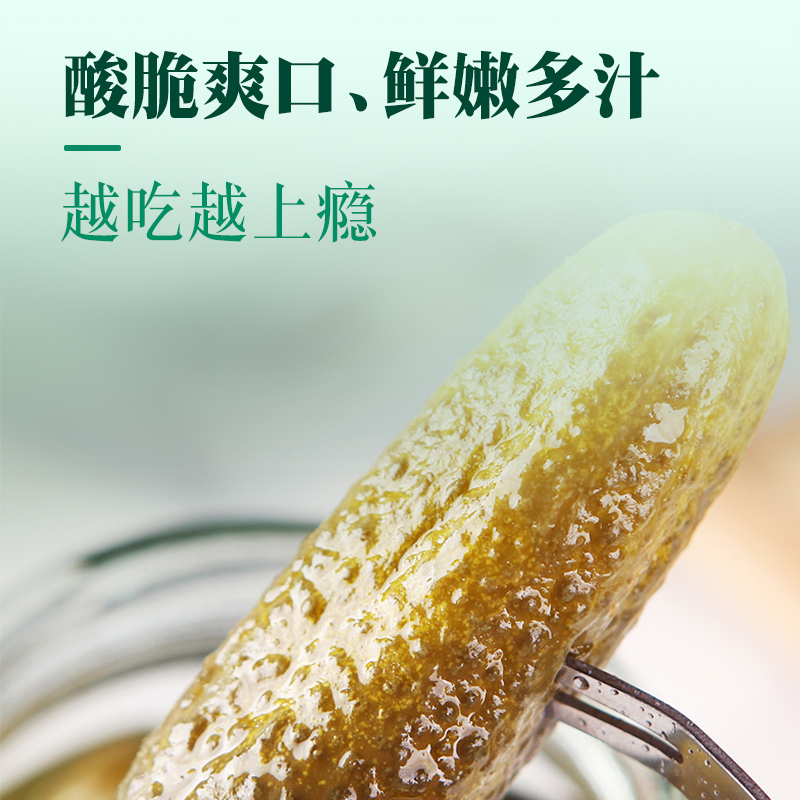 德维利酸青瓜670g俄式酸黄瓜俄罗斯风味腌小黄瓜罐头德国进口配菜 - 图2