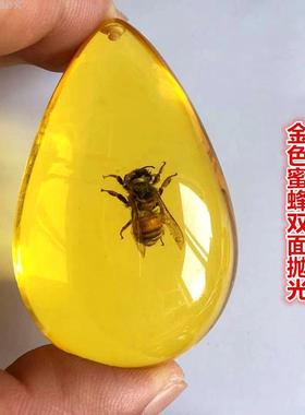 蜘蛛琥珀昆虫标本蝎子项链蝴蝶吊坠知了虫珀原石儿童礼物小学课本
