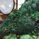 Natural jade, Dushan jade ornaments, jade carvings, bright future, collection of home and living room cultural toys, decorations and gifts