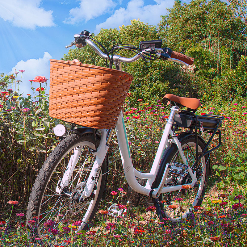 msebike24寸新国标可拆锂电池助力自行车电单车城市电单车铝合金-图0