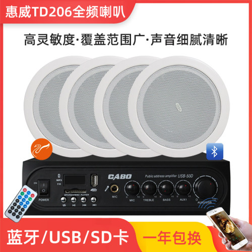 Hivi/惠威 TD206定压天花吊顶吸顶喇叭餐厅音响广播音箱功放套装 - 图1