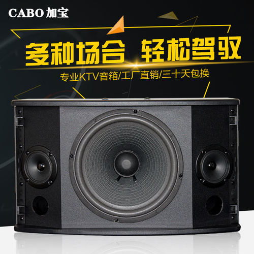CABO/加宝 CA-1000 家庭ktv卡拉ok音响 会议室专业卡包音箱 - 图0