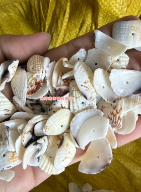 不规则天然贝壳12-24mm白色打孔不染色碎贝材料DIY手工服装饰品