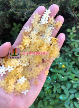 哑光磨砂手工材料包亮片