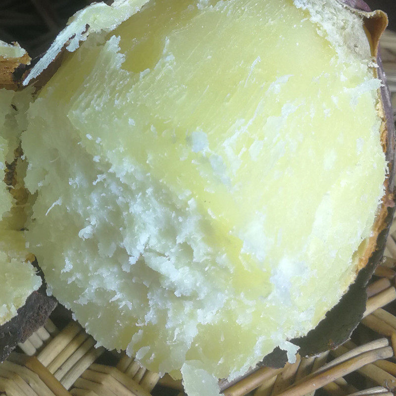 唐河爆皮王薯10斤新鲜湖北吃货板栗 豫薯香番薯