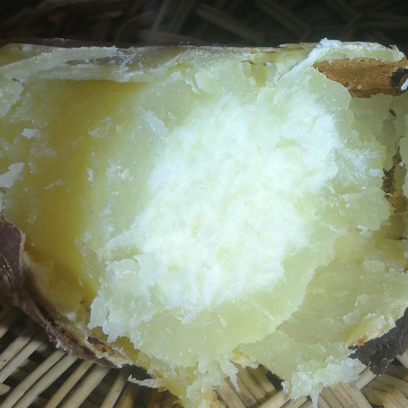 唐河爆皮王薯10斤新鲜湖北吃货板栗 豫薯香番薯