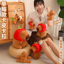 Kapbala Water Dolphin Doll School Bag Key Button Pendant Utortoise Strawberry Backpack Plush Toy Snap Ring Paparazzi