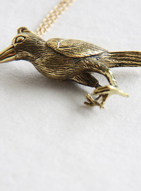 售罄乌鸦半解剖项链吊坠 美丽的骨骼 黄铜项链
