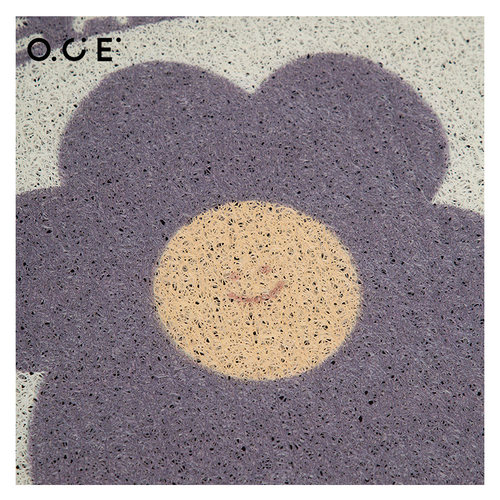 OCE地垫入户门垫丝圈地毯进门防滑耐脏浴室门口卫生间脚垫花卉 - 图1