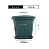 Сверху большие посадки дерева горшок Qingshan Basin Control Control Collognated Coldensed Rose Green Gallon Gallon Gallon Basin Новая смола пластик