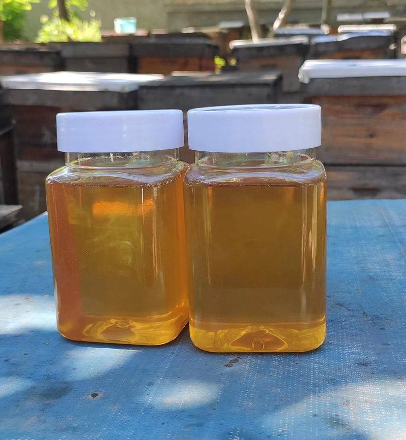 天然纯正蜂蜜农家自产沂蒙山野生土蜂蜜枣花野山花蜜良心蜜丹参蜜