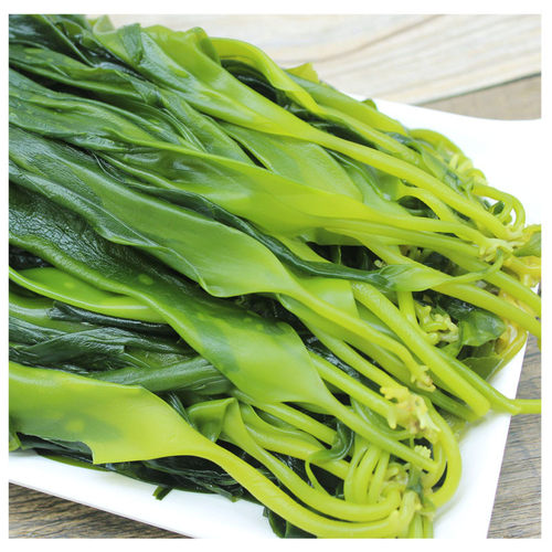 海带苗嫩5斤火锅商用新鲜盐渍霞浦小海带非干货麻辣烫火锅食材 - 图1