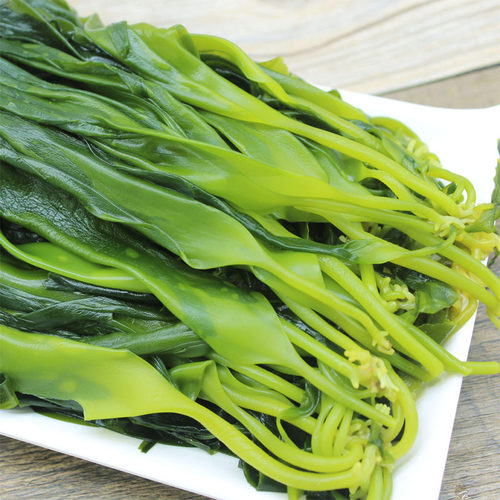 海带苗嫩5斤火锅商用新鲜盐渍霞浦小海带非干货麻辣烫火锅食材 - 图0